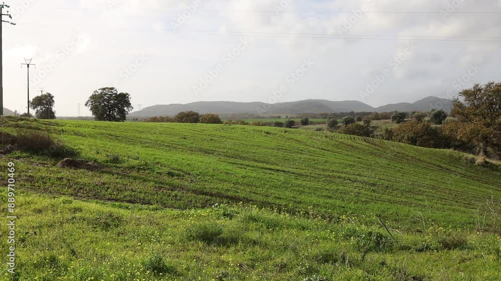 Green rural hills. Italian countryside. Stop motion moving image clip mp4. Green rural hills. Italian countryside. Stop motion moving image clip mp4.