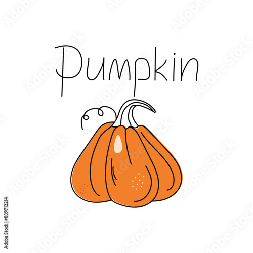 Pumpkin, vegetable. Outline drawing, doodle, color. Harvest, food. Autumn season. Halloween. Vector illustration. White isolated background.