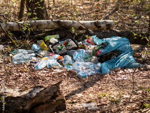 garbage dump in the forest