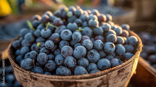 Wallpaper Mural Fresh blueberries in natural sunlight, ripe fruit harvest close-up on a farm. Torontodigital.ca