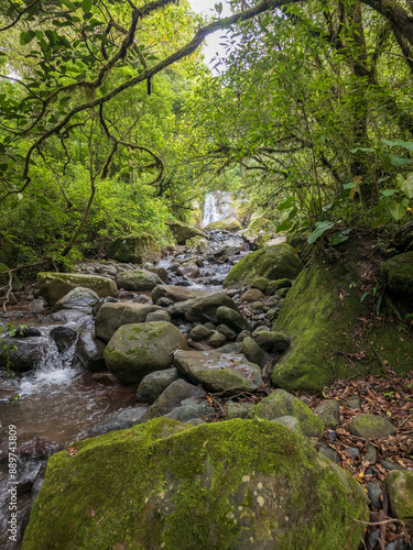 Cascada en Montañas de Boquete