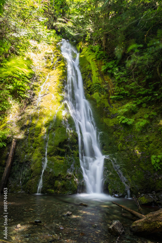 waterfall in the forest