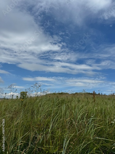 field and sky