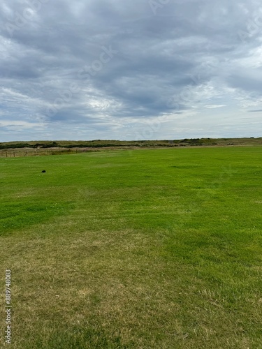 grass and blue sky