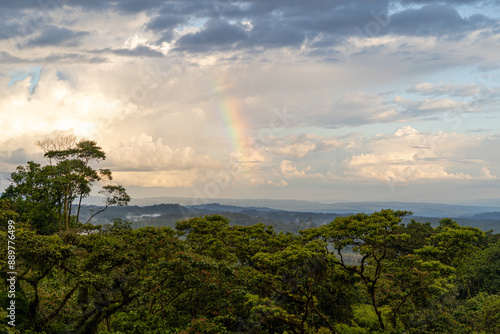 Ecuadorian jungle, trees, rainbow and sunset