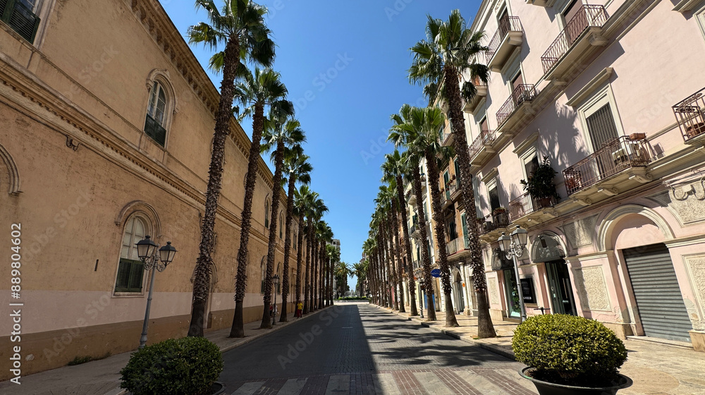 Fototapeta premium Avenue with palm trees and buildings. Via Mignogna in the city center of Taranto, Puglia, Italy 