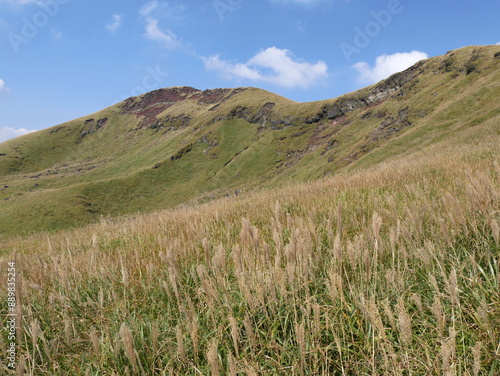 silver pampa grass in autumn on Kishima Dake volcano in Aso, Kyushu, Japan photo