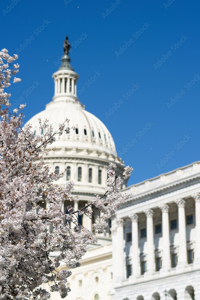 Obraz premium Washington DC capitol building