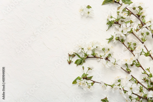 Delicate white cherry bloss...