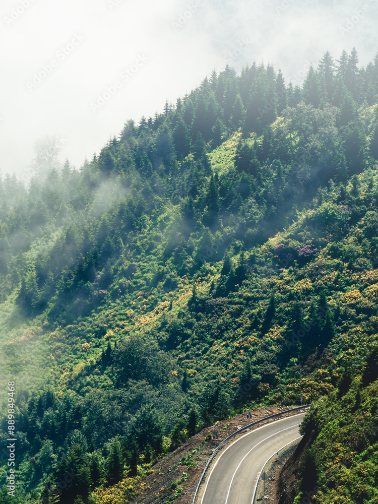 Fototapeta premium Winding mountain road through lush green forest partially covered in mist. Scenic view of curving highway amidst dense foliage, creating a serene and mysterious atmosphere. Perfect for travel and
