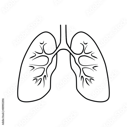 Detailed lungs isolated on white background. Minimalist line art lungs