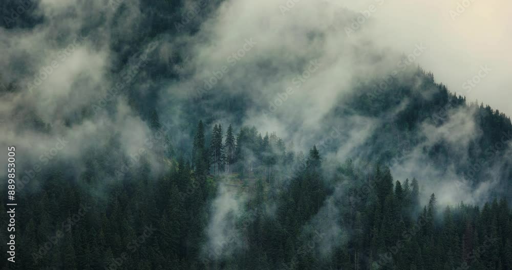Foggy forest mountain landscape, clouds moving Foggy forest mountain landscape, clouds moving