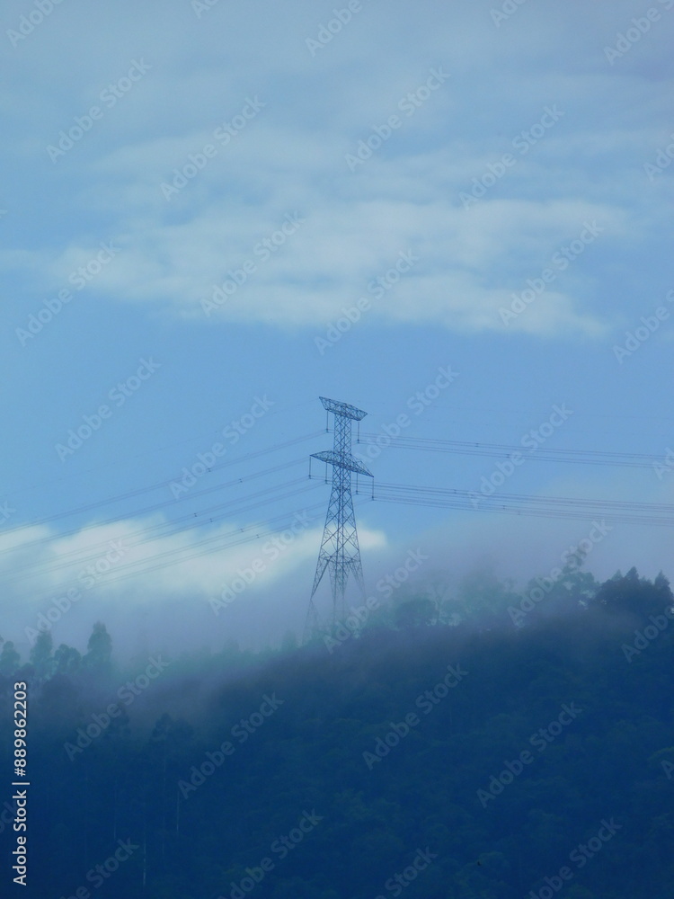 Electric tower with wires in a foggy eucalyptus plantation. Mountainous forest landscape. Electric tower with wires in a foggy eucalyptus plantation. Mountainous forest landscape.