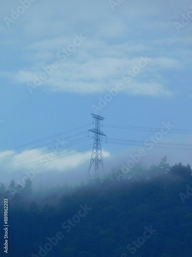 Electric tower with wires in a foggy eucalyptus plantation. Mountainous forest landscape.