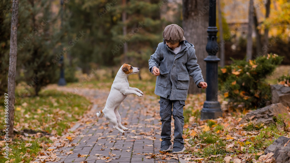 Fototapeta premium Caucasian boy playing with a dog for a walk in the autumn park. 