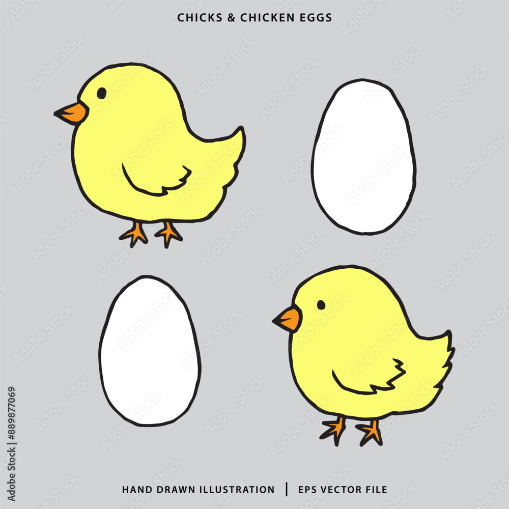 Hand Drawn chicks and chicken eggs Illustration Hand Drawn chicks and chicken eggs Illustration