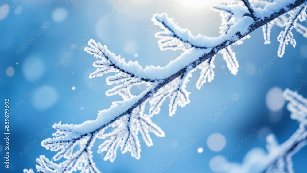Whispers of winters touch frozen in time Whispers of winters touch frozen in time