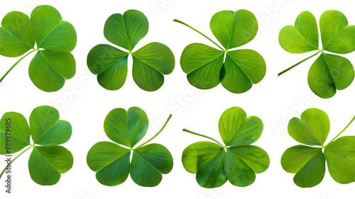 Collection set of green lucky clover and shamrock isolated on transparent background, Saint Patrick day celebration symbol, png file