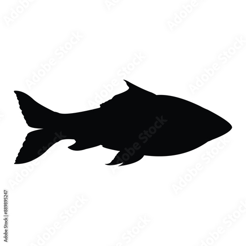 freshwater fish silhouette on black and white background