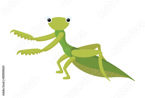 Vector illustration of a praying mantis. Children's insect character.
