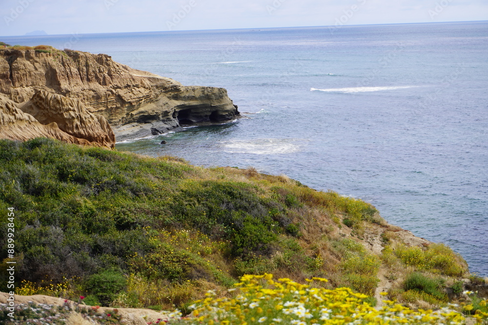 Fototapeta premium blue