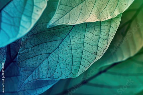 Closeup of Veined Leaves with a Teal Color Palette