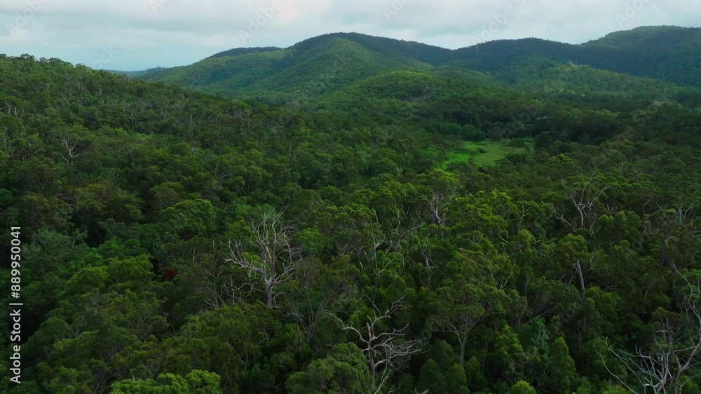 Cedar Creek Falls Reserve aerial drone Australia outback Aussie green forest Whitsundays Airlie Beach Proserpine Palm Grove QLD Queensland spring summer autumn winter sunny cloudy forward motion Cedar Creek Falls Reserve aerial drone Australia outback Aussie green forest Whitsundays Airlie Beach Proserpine Palm Grove QLD Queensland spring summer autumn winter sunny cloudy forward motion