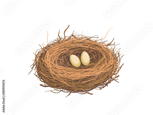 Hand drawn bird nest holds eggs vector illustration
