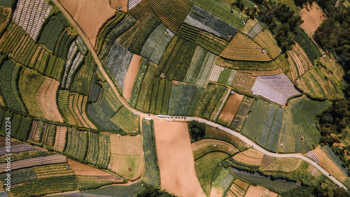 aerial view of green orchard fields on the slopes of Mount Sumbing, Central Java, Indonesia. Beautiful and fertile. photo