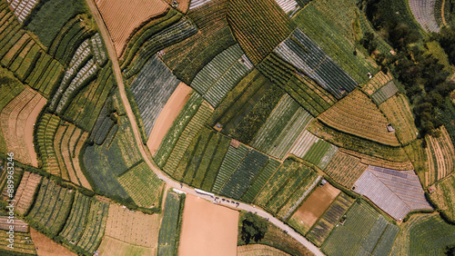 aerial view of green orchard fields on the slopes of Mount Sumbing, Central Java, Indonesia. Beautiful and fertile. photo