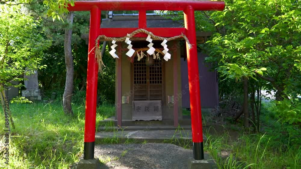 Walking towards lone red torii gate at Japanese shinto shrine Walking towards lone red torii gate at Japanese shinto shrine