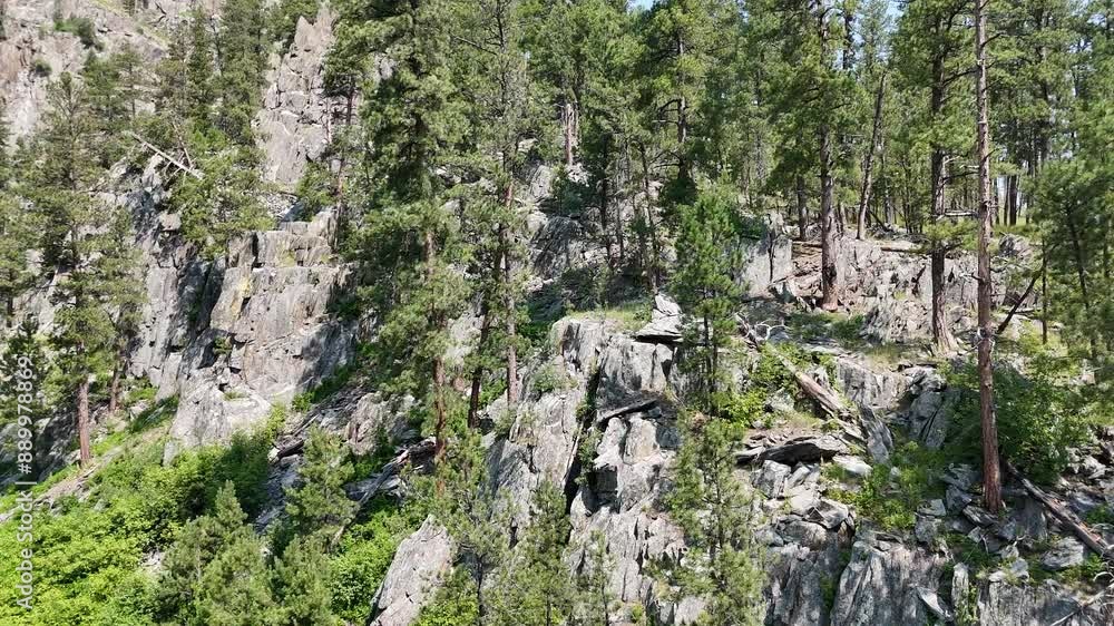 Drone flying above tall evergreen trees along the Sheridan Lake trail in the Black Hills of South Dakota. Drone flying above tall evergreen trees along the Sheridan Lake trail in the Black Hills of South Dakota.