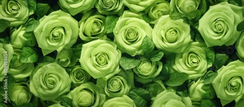 Fototapeta Naklejka Na Ścianę i Meble -  A Lush Arrangement of Green Roses