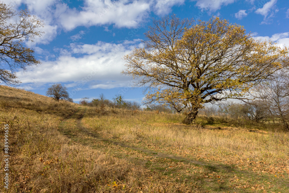 the beginning of autumn, walks in the highlands, panoramic views and the seasonal state in nature and the colors of autumn the beginning of autumn, walks in the highlands, panoramic views and the seasonal state in nature and the colors of autumn