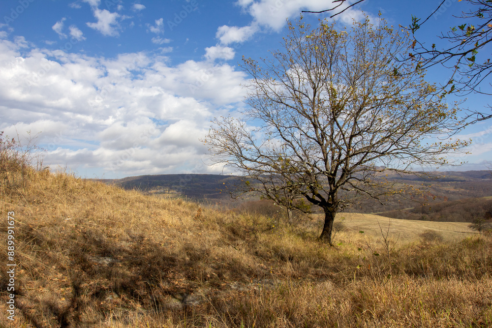 the beginning of autumn, walks in the highlands, panoramic views and the seasonal state in nature and the colors of autumn the beginning of autumn, walks in the highlands, panoramic views and the seasonal state in nature and the colors of autumn