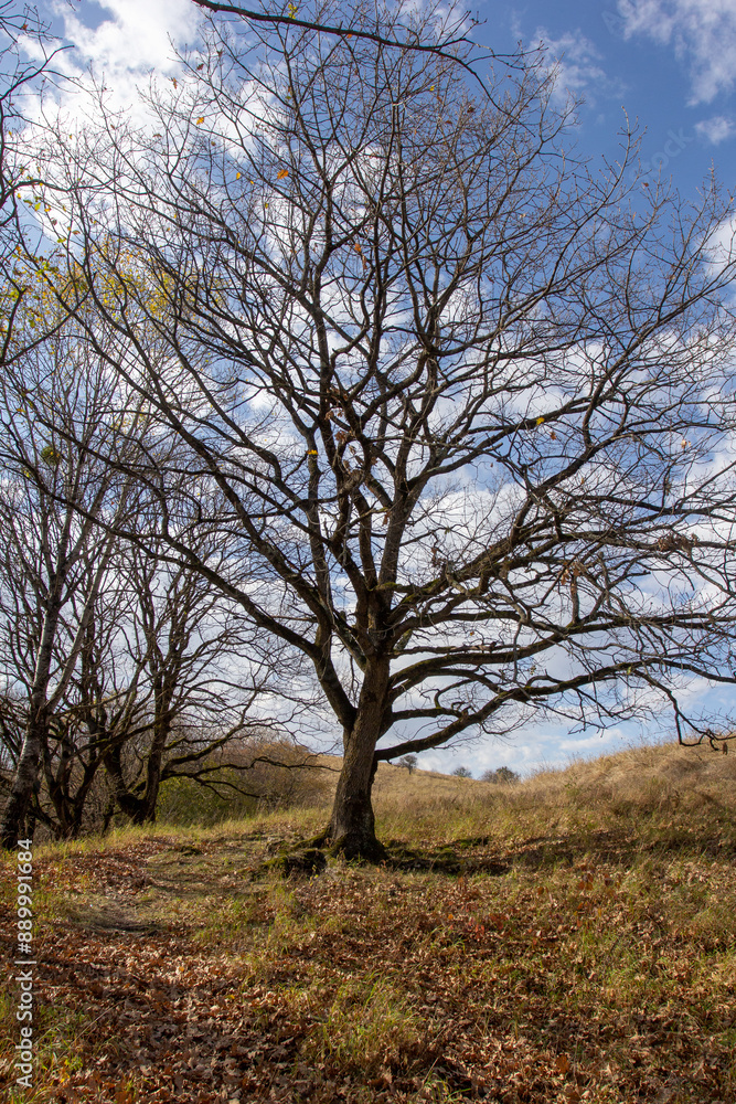the beginning of autumn, walks in the highlands, panoramic views and the seasonal state in nature and the colors of autumn the beginning of autumn, walks in the highlands, panoramic views and the seasonal state in nature and the colors of autumn