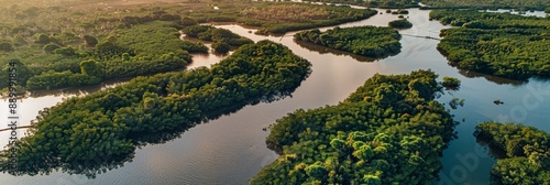 Aerial view shows intricate waterways and dense mangrove forest in Senegal's Saloum Delta National Park, glowing in the sun's light photo