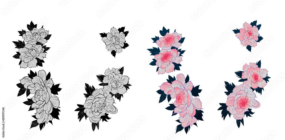 Fototapeta premium Japan Peony flowers drawing clip art design element pink black white hand drawn floral illustration line wedding tattoo style black contour Set of botanical flowers chrysanthemums peonies hand drawn