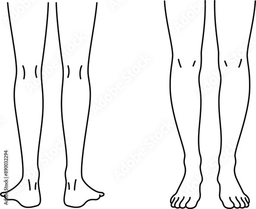 正面と裏から見た脚の線画イラスト