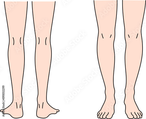 正面と裏から見た脚のイラスト