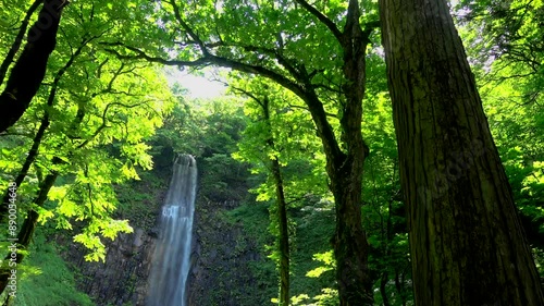 玉簾の滝・滝の音・たますだれのたき（山形県・酒田市）
