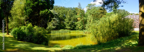 Panoramic photo of a green pond in a city park 