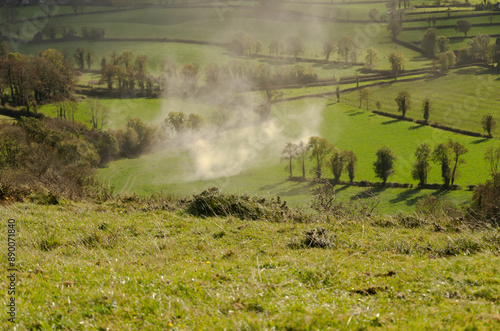 Lime Fields in County Fermanagh 