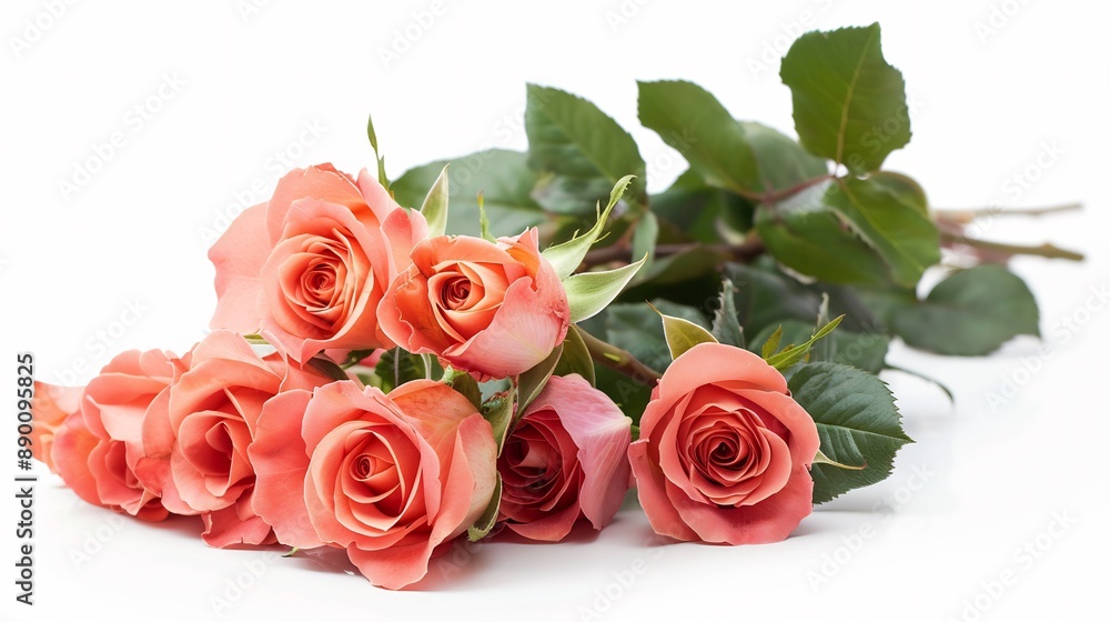 Bouquet of Peach Roses on White Background Bouquet of Peach Roses on White Background