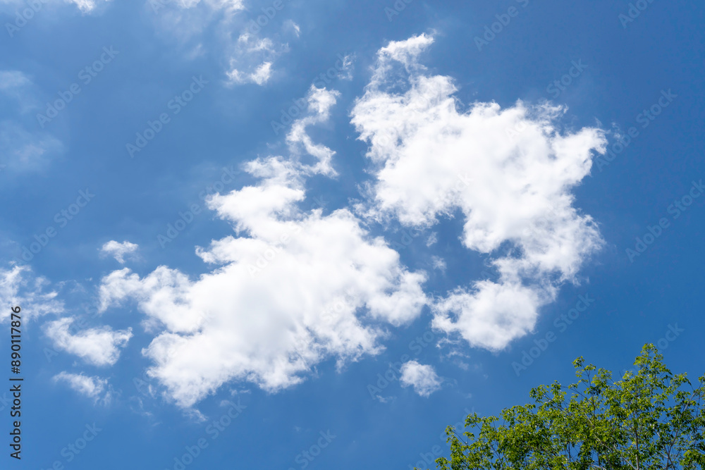 Beautiful blue sky with strange shape of clouds and trees in the morning or evening used as natural background texture in decorative art work Beautiful blue sky with strange shape of clouds and trees in the morning or evening used as natural background texture in decorative art work