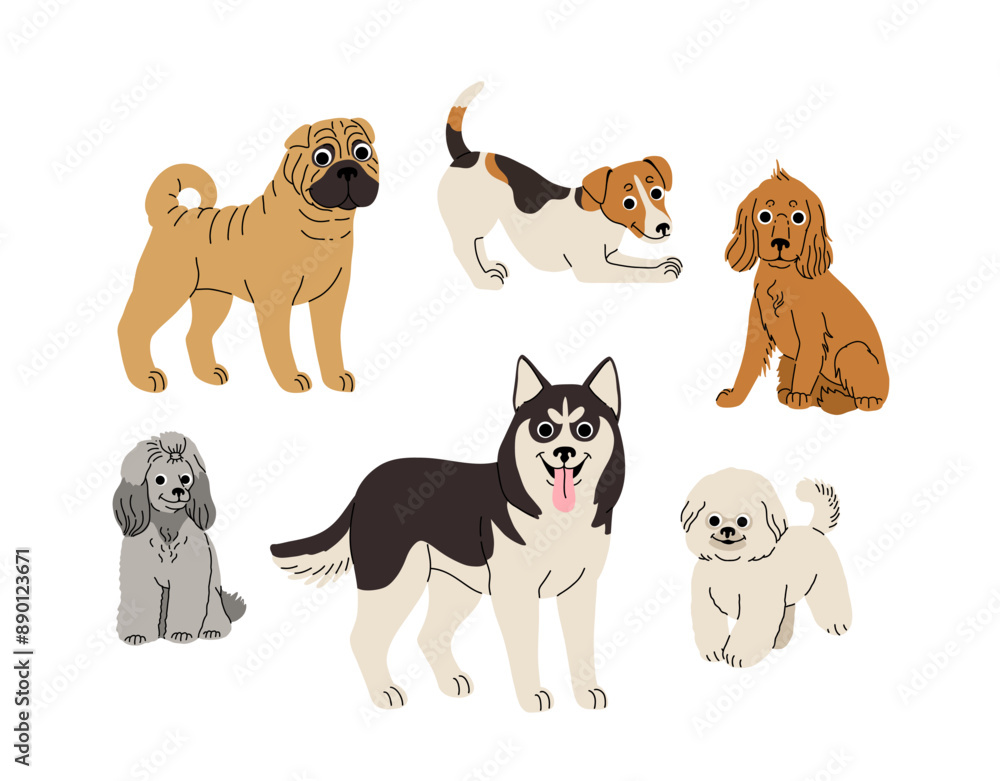 Fototapeta premium cartoon Dogs in motion set. Different canine breeds. Active puppies siberian husky, jack russell terrier, cocker spaniel, miniature poodle, shar pei, bishon frize. Flat vector illustration
