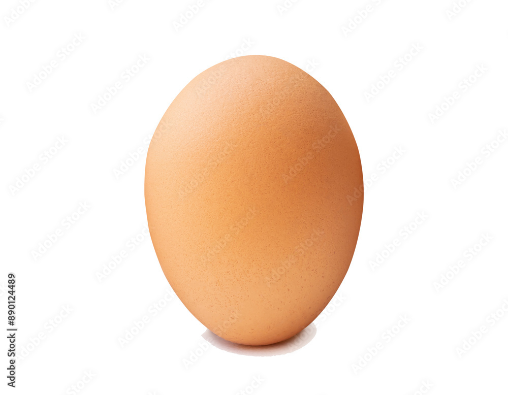Front view of single brown chicken egg standing isolated with clipping path and shadow in png file format Front view of single brown chicken egg standing isolated with clipping path and shadow in png file format