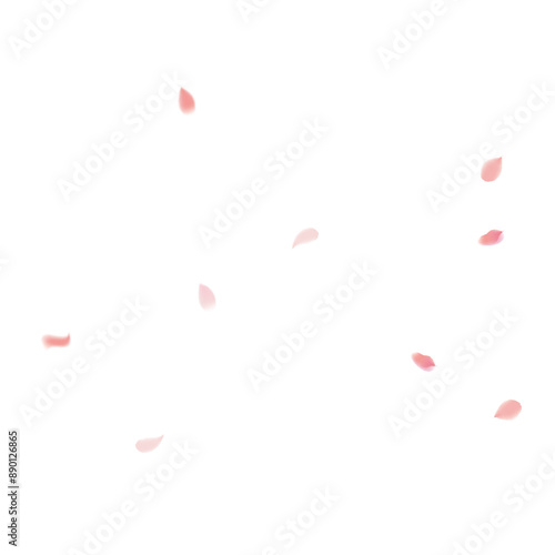 Flower Petals Background. Pink Falling Roses. Flying Sakura Petals. Spring Blowing Wind with Cherry Blossoms. Wedding and Anniversary Card. 8 March Poster.