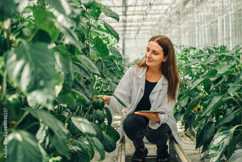 Worker collects data on tablet about growth of vegetables in greenhouse. Young woman biologist examines, touches stem of bell pepper plant in greenhouse. Portrait of biologist botanist at work photo