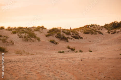 sunrise in the desert